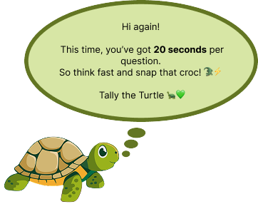 Turtle Explaining the rules of Level 1 being that there is a 10 second time limit and Good Luck playing in a dialogue box